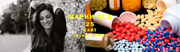 PSILOCYBIN Нефтегорск