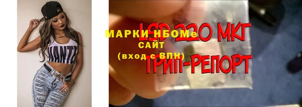 PSILOCYBIN Нефтегорск