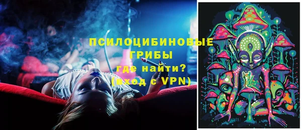 apvp Нея