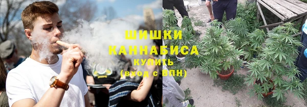 тгк Новодвинск