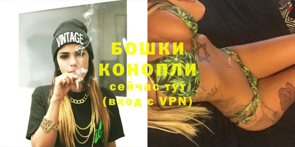 PSILOCYBIN Нефтегорск