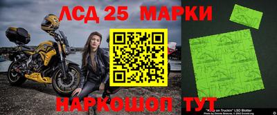 стафф Бийск