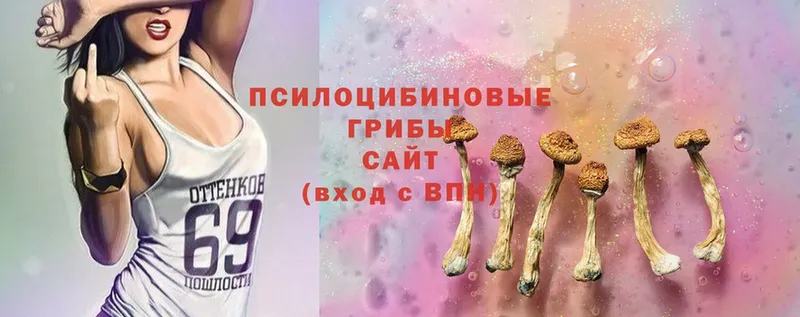 Псилоцибиновые грибы MAGIC MUSHROOMS  Менделеевск 