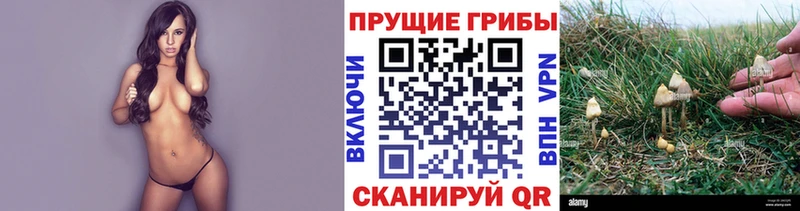 гидра как войти  Менделеевск  Галлюциногенные грибы мицелий 