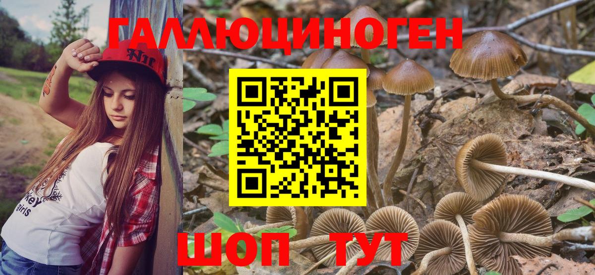 Менделеевск  Псилоцибиновые грибы Cubensis  Галлюциногенные грибы мицелий  Вход с VPN 