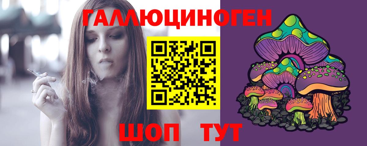 Галлюциногенные грибы Psilocybine cubensis Менделеевск